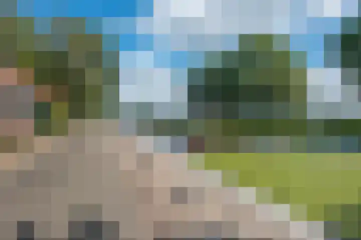Achter de Hoven 8 Noordlaren thumbnail 58