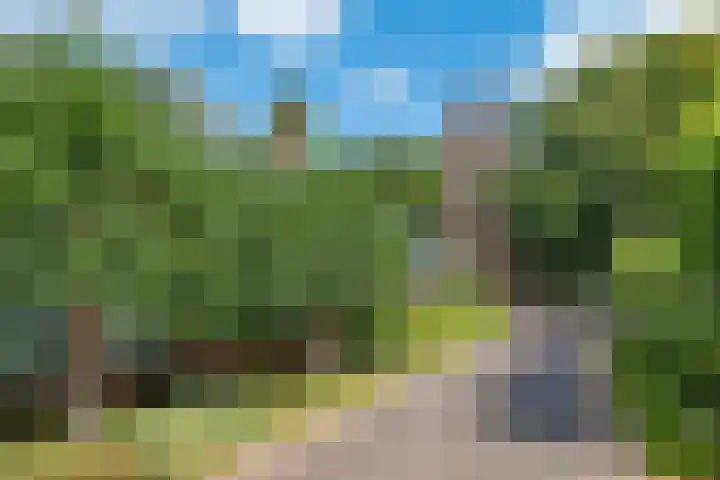 Achter de Hoven 8 Noordlaren thumbnail 59