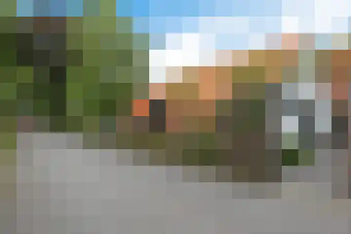 Achter de Hoven 8 Noordlaren thumbnail 6