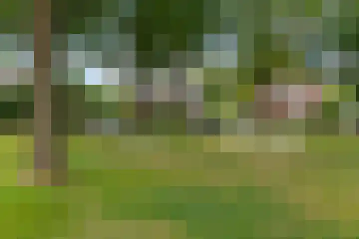 Achter de Hoven 8 Noordlaren thumbnail 60