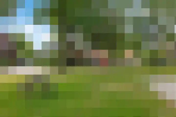 Achter de Hoven 8 Noordlaren thumbnail 61