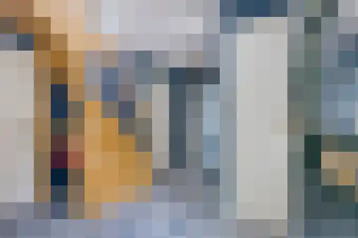 Achter de Hoven 8 Noordlaren thumbnail 9