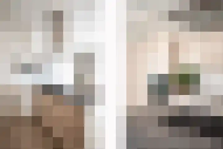 Achter de Hoven 82 Buchten thumbnail 11