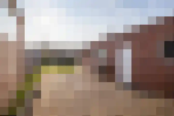 Achter de Hoven 82 Buchten thumbnail 18