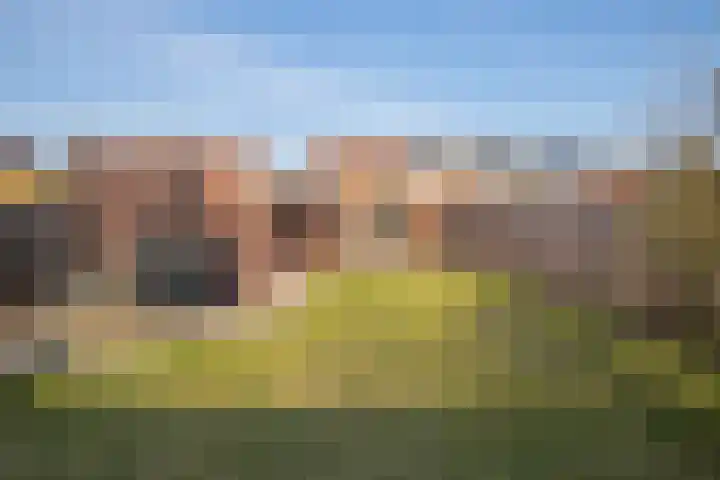 Achter de Hoven 82 Buchten thumbnail 19