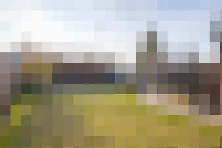Achter de Hoven 82 Buchten thumbnail 20