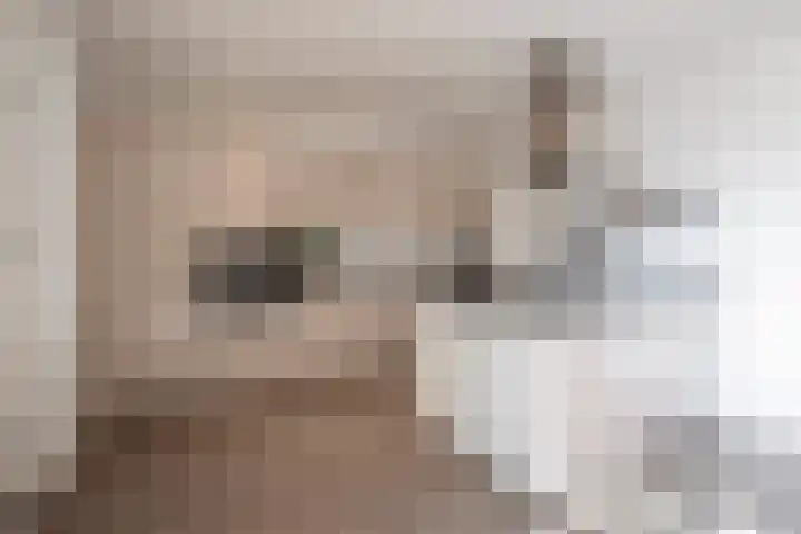 Achter de Hoven 82 Buchten foto 3