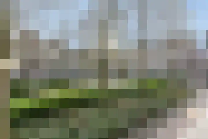 Achter de Kamp 19 Amersfoort thumbnail 11