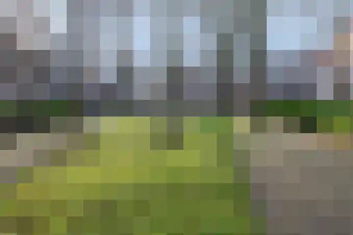 Achter de Kamp 19 Amersfoort thumbnail 12