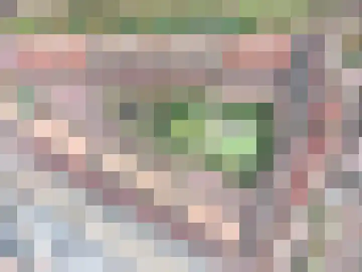 Achter de Kamp 19 Amersfoort thumbnail 13