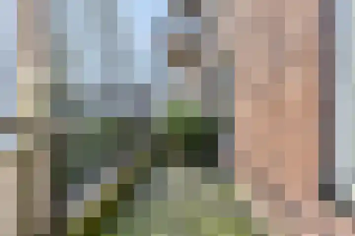 Achter de Kamp 19 Amersfoort thumbnail 23