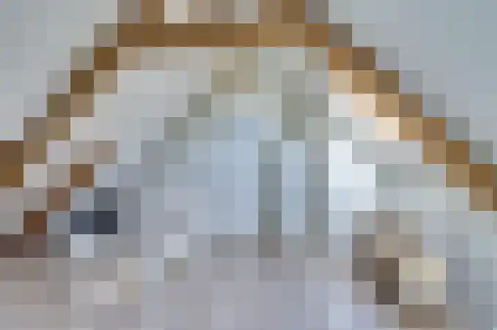 Achter de Kamp 244 Amersfoort thumbnail 33