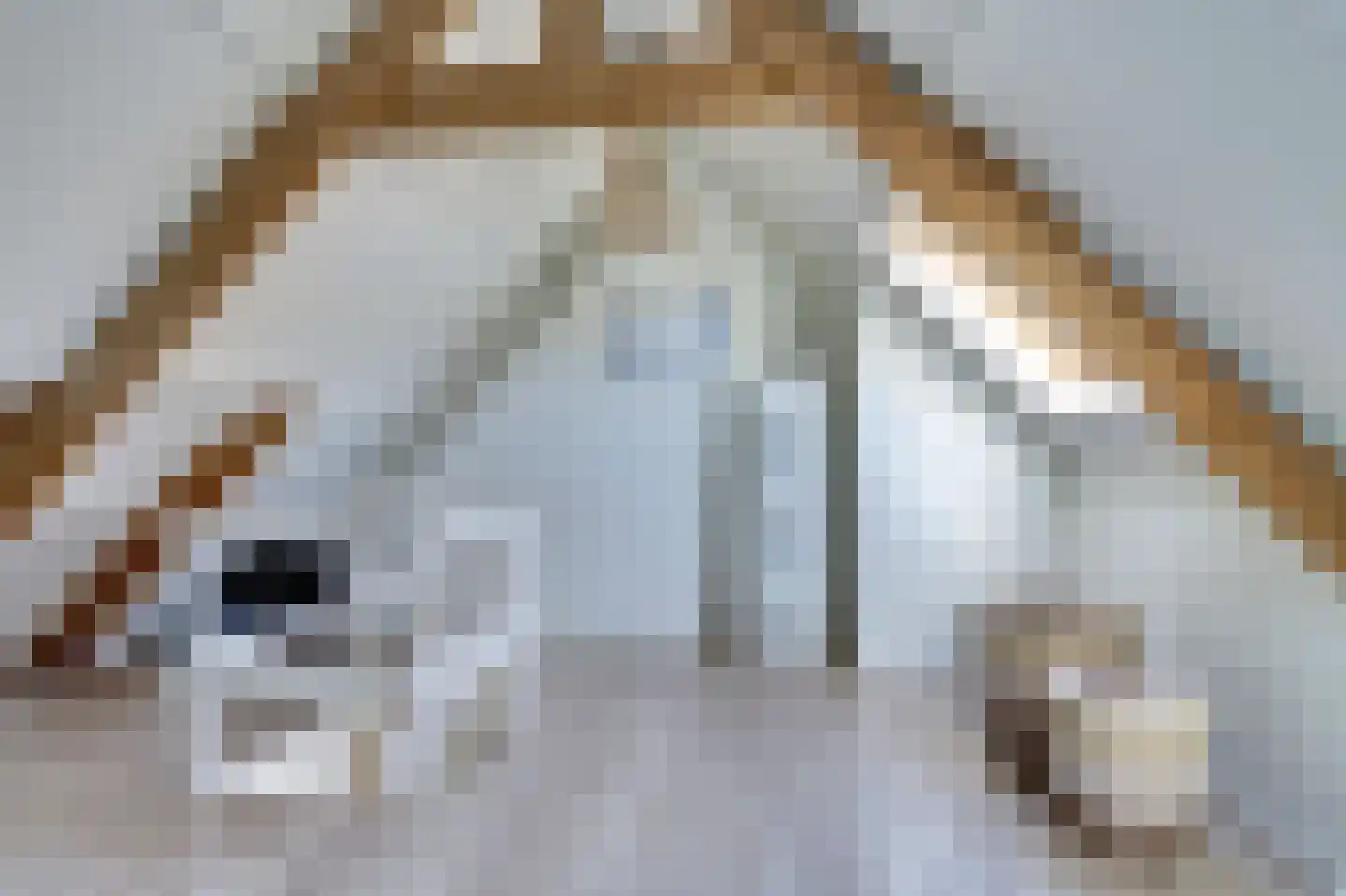 Achter de Kamp 244 Amersfoort thumbnail 33