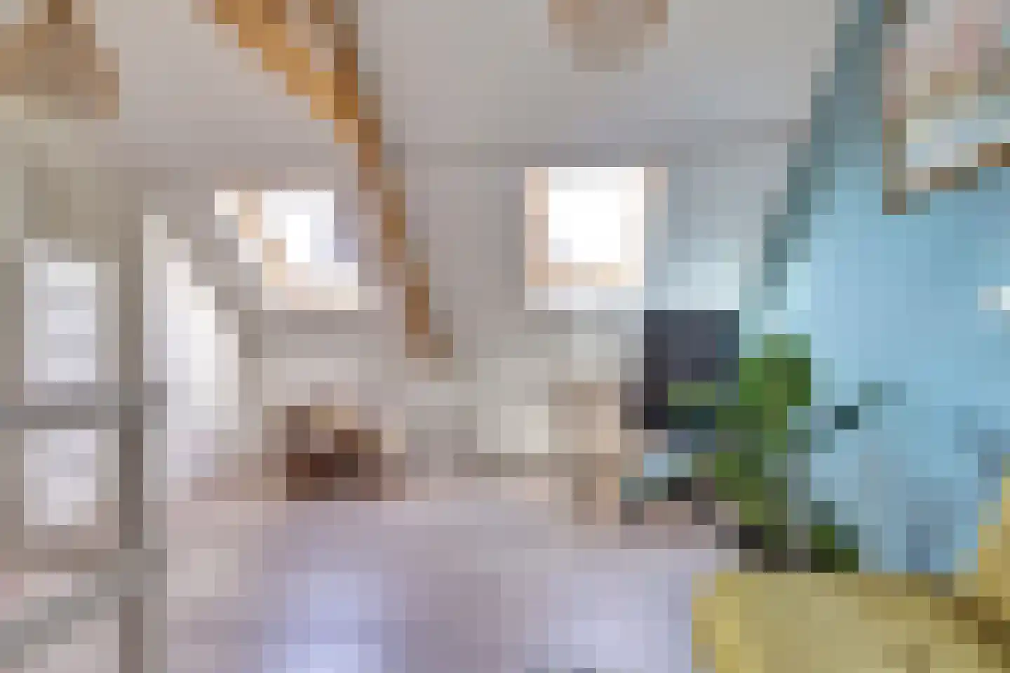 Achter de Kamp 244 Amersfoort thumbnail 35