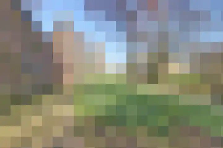 Achter de Kamp 244 Amersfoort thumbnail 47