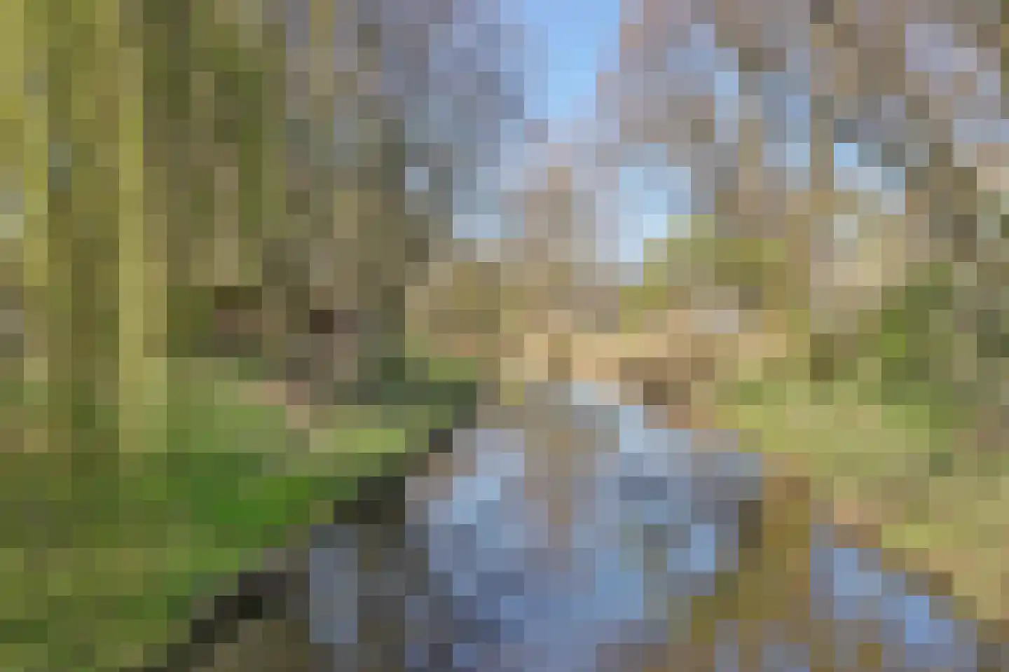 Achter de Kamp 244 Amersfoort thumbnail 49