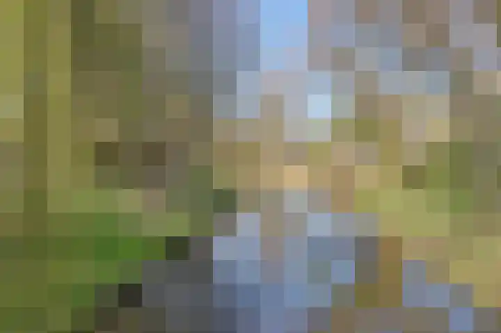 Achter de Kamp 244 Amersfoort thumbnail 49