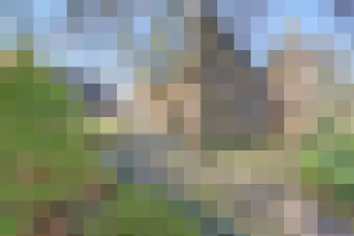 Achter de Kamp 244 Amersfoort thumbnail 5