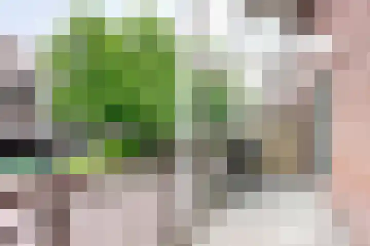 Achter de Kamp 29 Amersfoort thumbnail 25