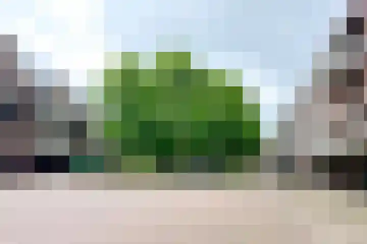 Achter de Kamp 29 Amersfoort thumbnail 27