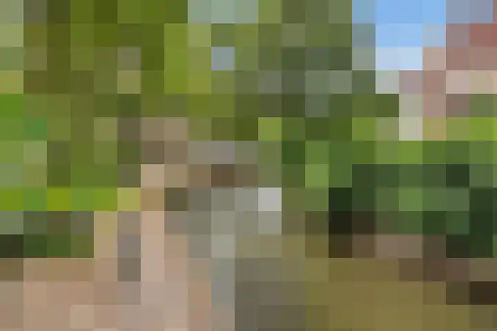 Achter de Kamp 30 B Amersfoort thumbnail 33