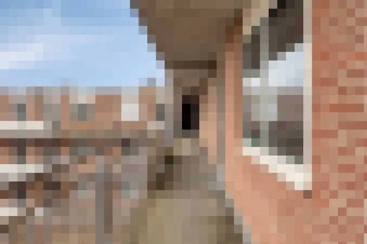 Achter de Kamp 68 Amersfoort thumbnail 25