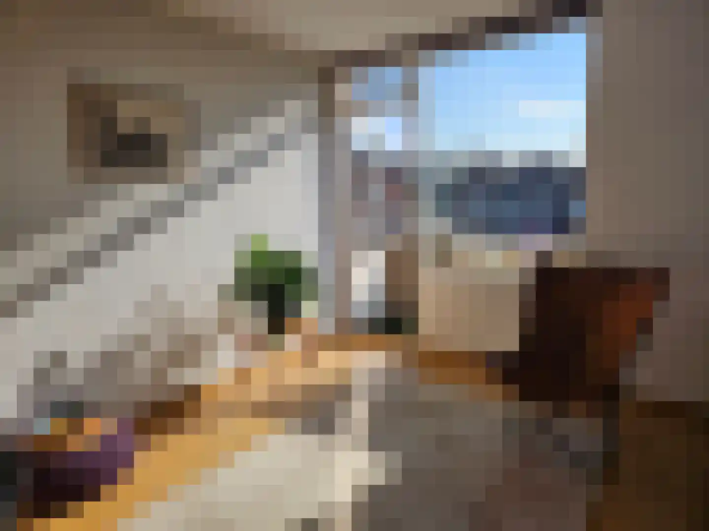 Achter de Kamp 68 Amersfoort thumbnail 5