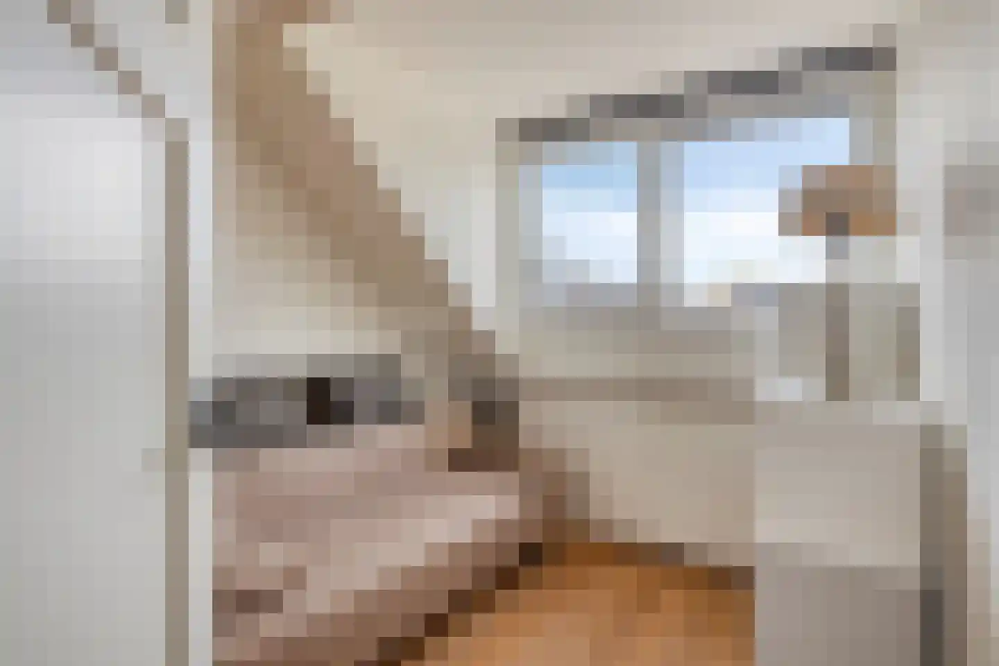 Achter de Keizerskroon 8 Nijmegen thumbnail 22