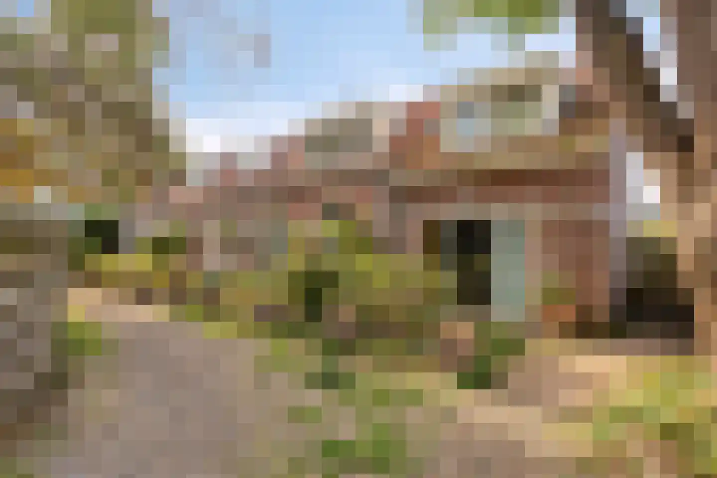 Achter de Keizerskroon 8 Nijmegen thumbnail 6