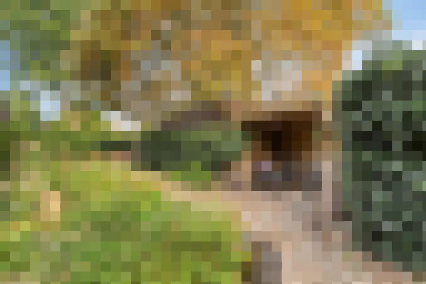 Achter de Keizerskroon 8 Nijmegen thumbnail 7
