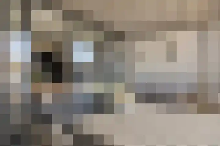 Achter de Kerk 1 b Gorinchem thumbnail 11