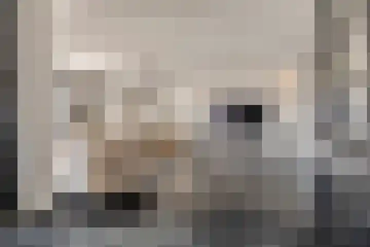 Achter de Kerk 1 b Gorinchem thumbnail 13
