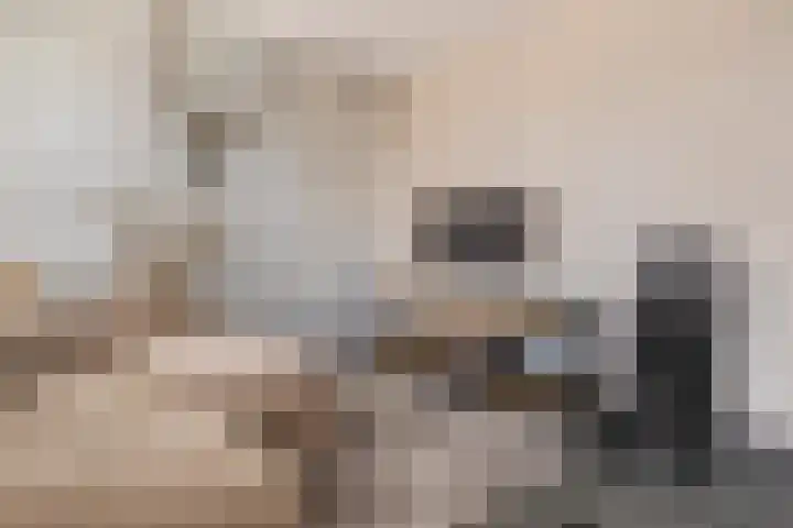 Achter de Kerk 1 b Gorinchem thumbnail 15