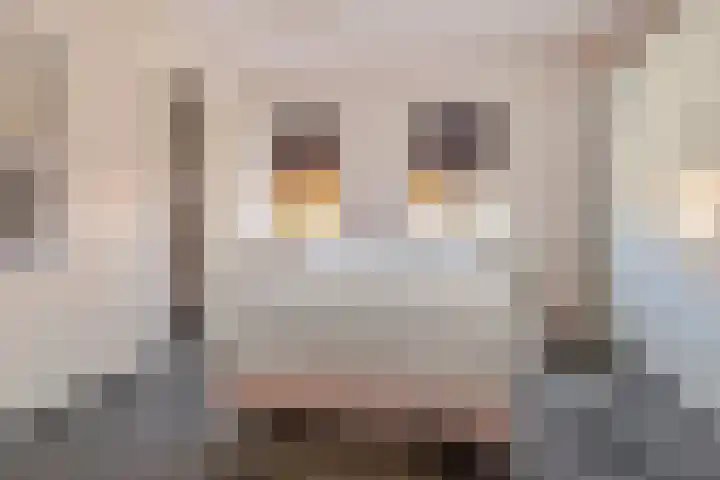 Achter de Kerk 1 b Gorinchem thumbnail 17
