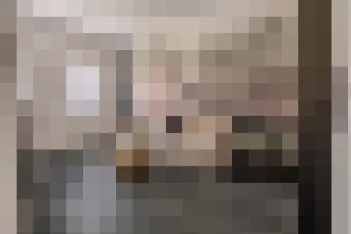 Achter de Kerk 1 b Gorinchem thumbnail 21