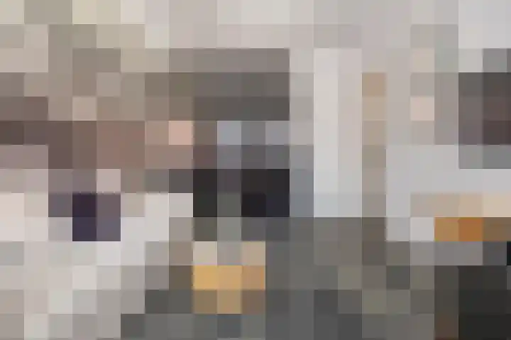 Achter de Kerk 1 b Gorinchem thumbnail 22