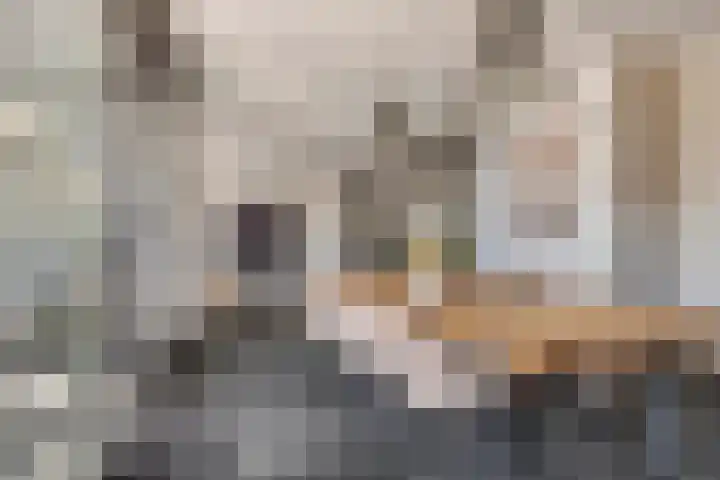 Achter de Kerk 1 b Gorinchem thumbnail 9