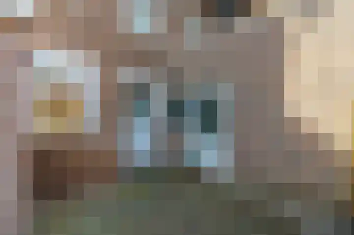Achter de Kerk 1 Beek thumbnail 17