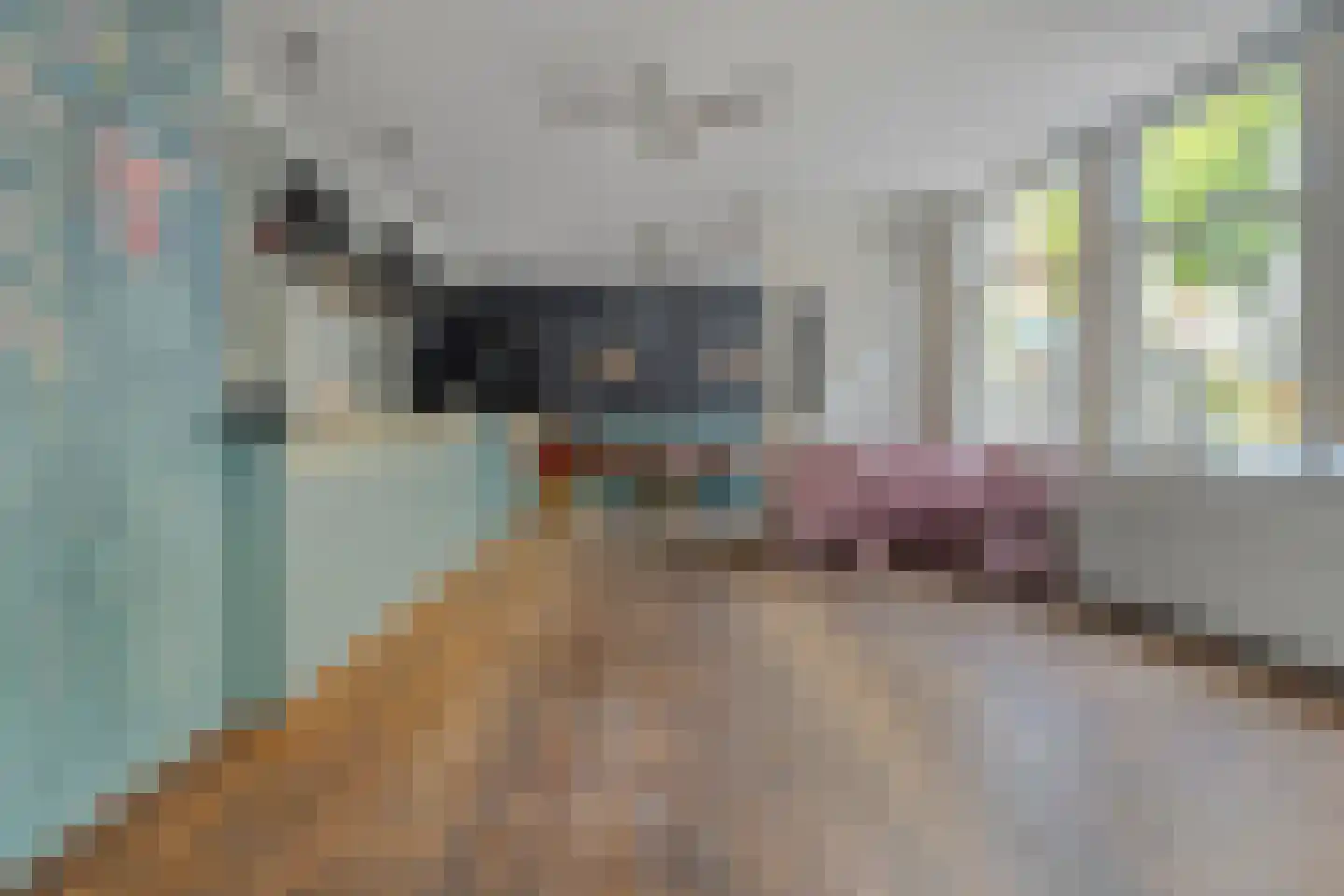 Achter de Kerk 1 Purmerend thumbnail 10