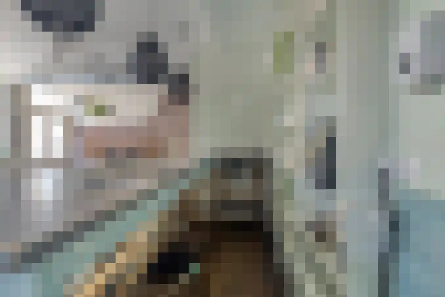 Achter de Kerk 1 Purmerend thumbnail 14