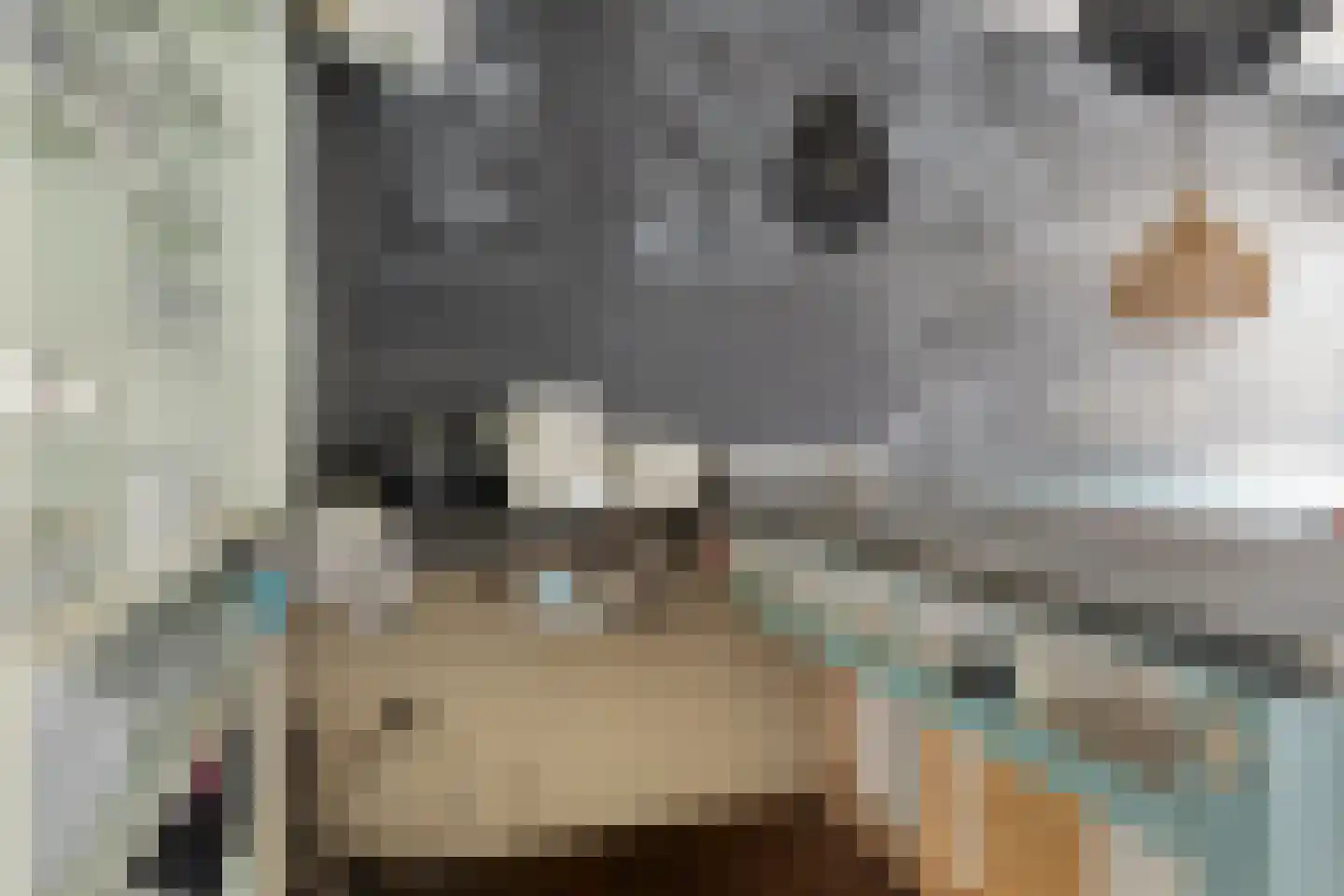 Achter de Kerk 1 Purmerend thumbnail 15