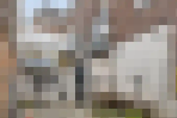Achter de Kerk 1 Purmerend thumbnail 46