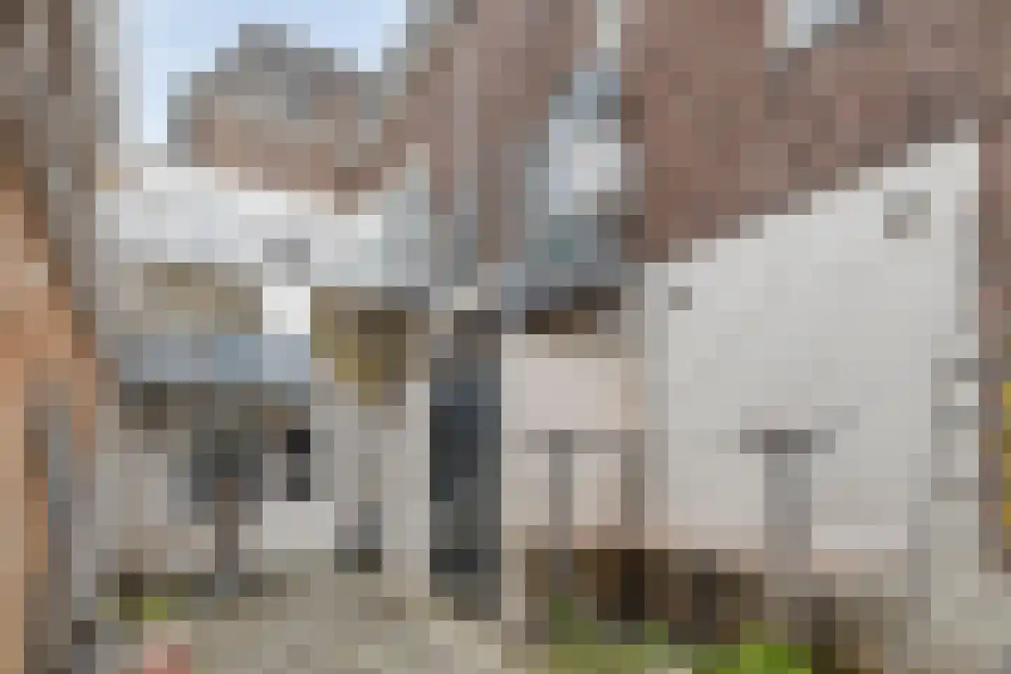 Achter de Kerk 1 Purmerend thumbnail 47