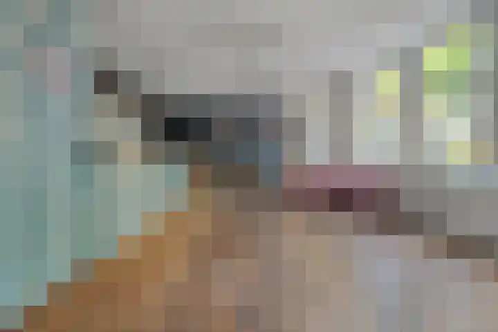 Achter de Kerk 1 Purmerend thumbnail 9