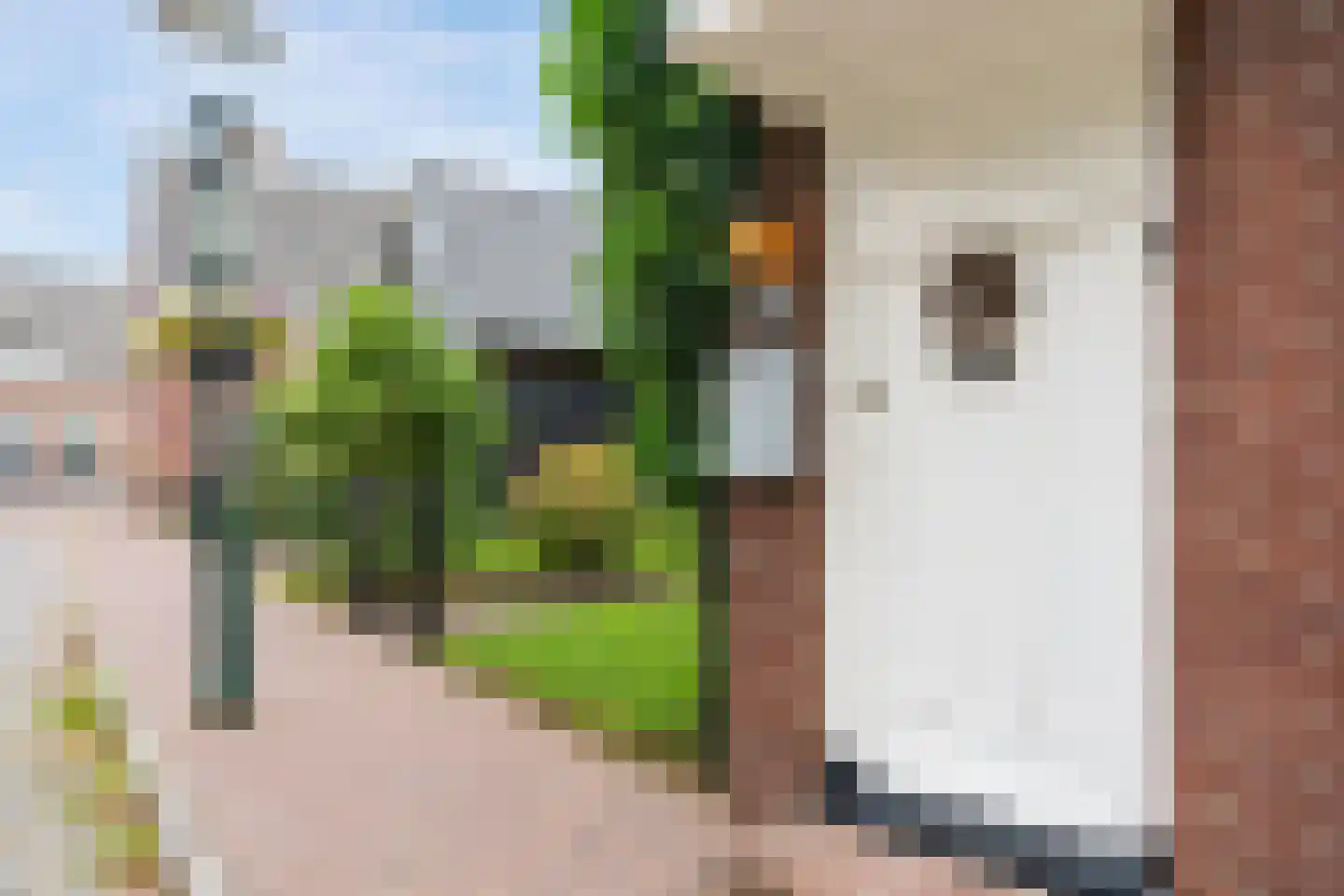 Achter de Kerk 16 Delden thumbnail 12
