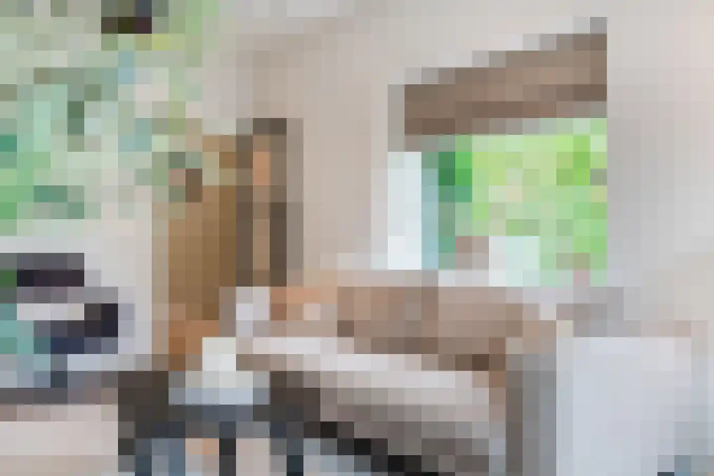 Achter de Kerk 16 Delden thumbnail 20