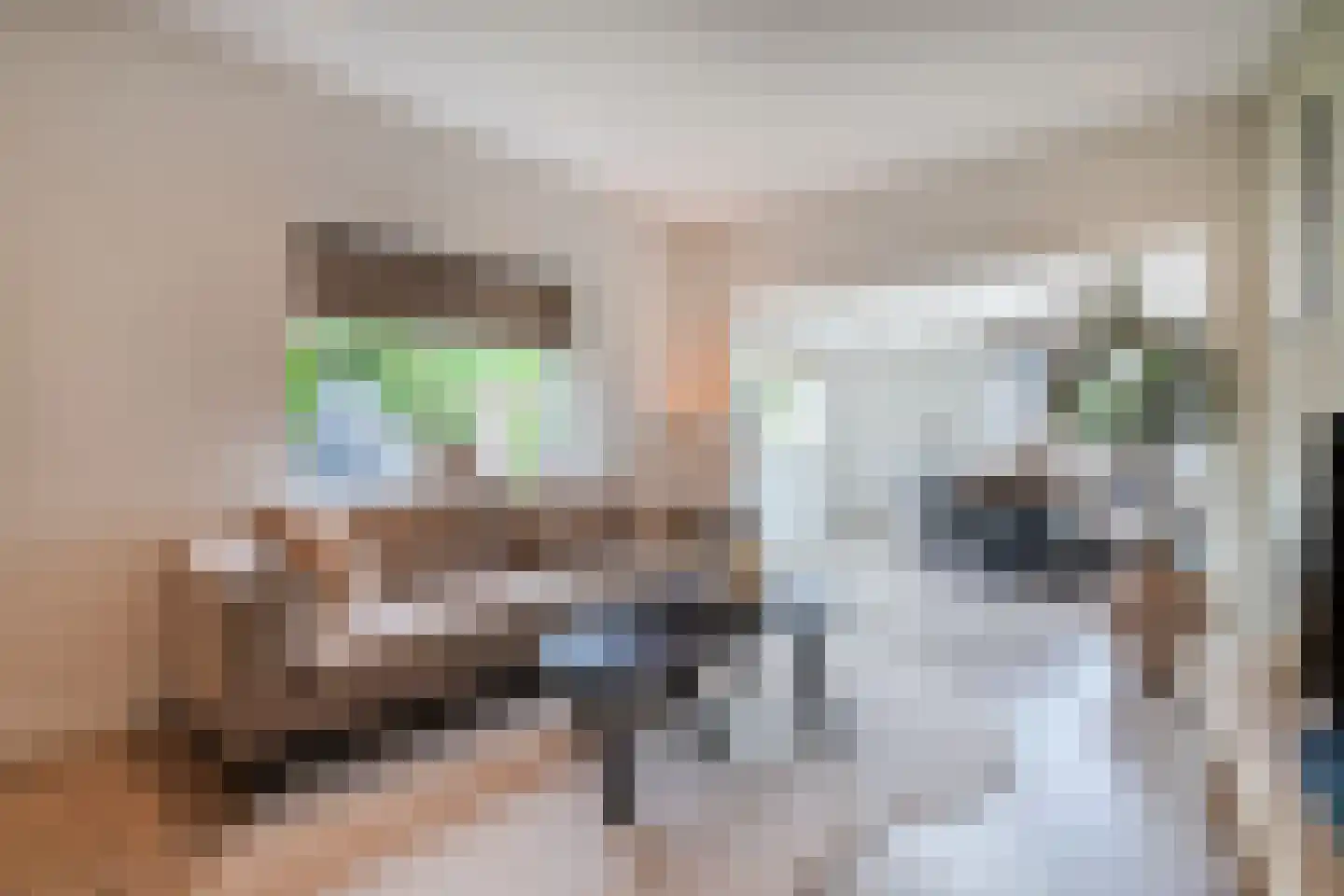Achter de Kerk 16 Delden thumbnail 21