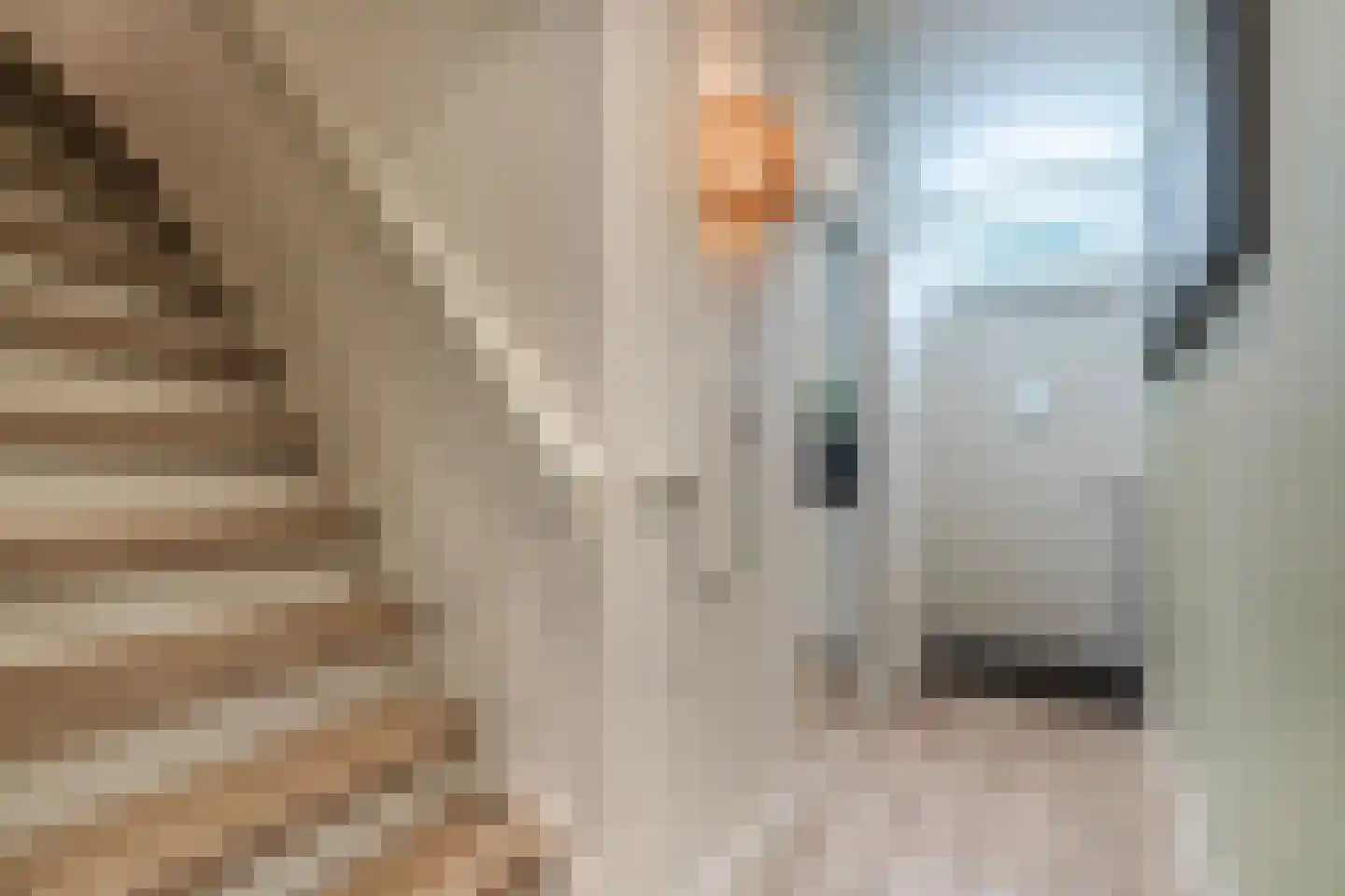 Achter de Kerk 16 Delden thumbnail 27