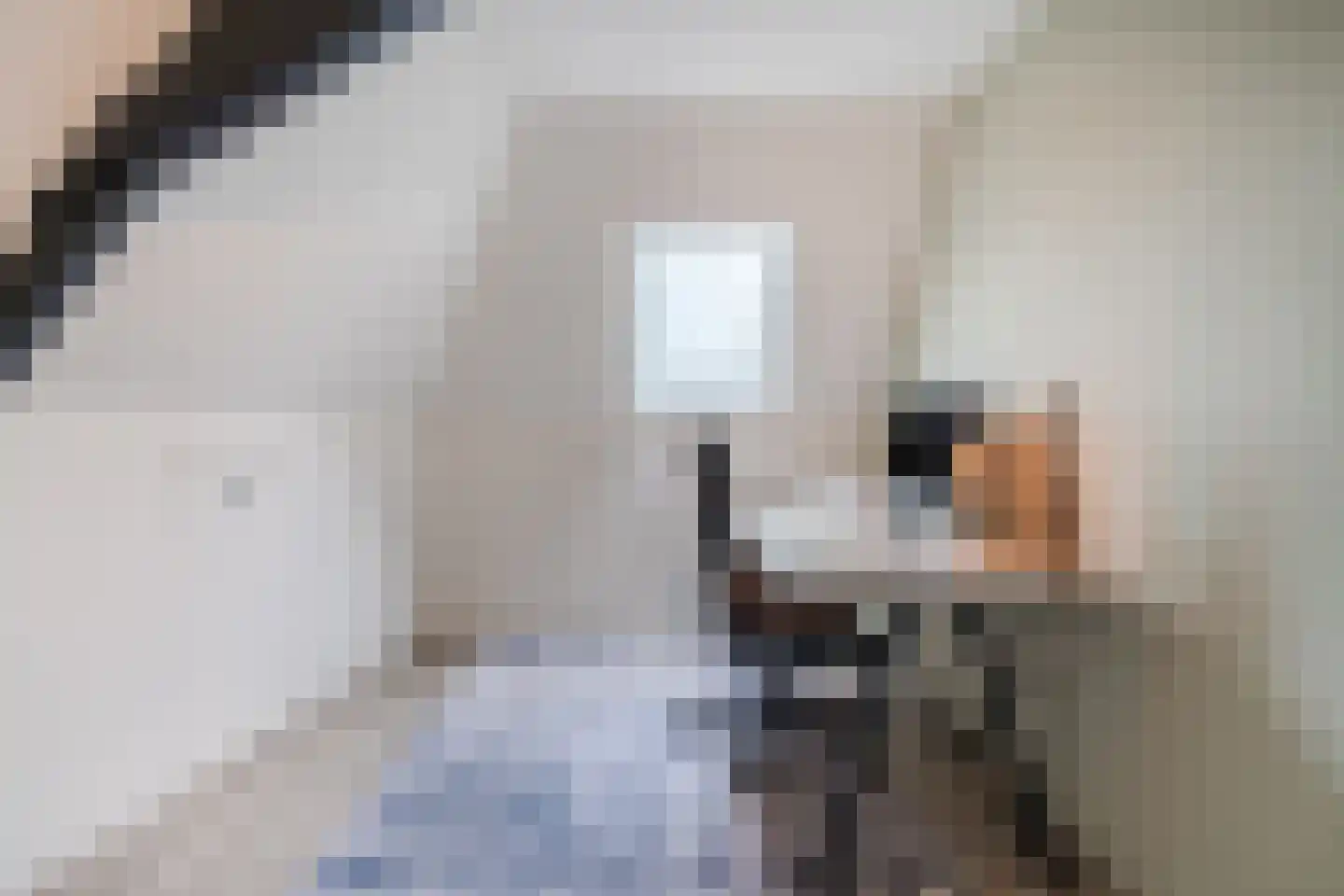 Achter de Kerk 16 Delden thumbnail 39