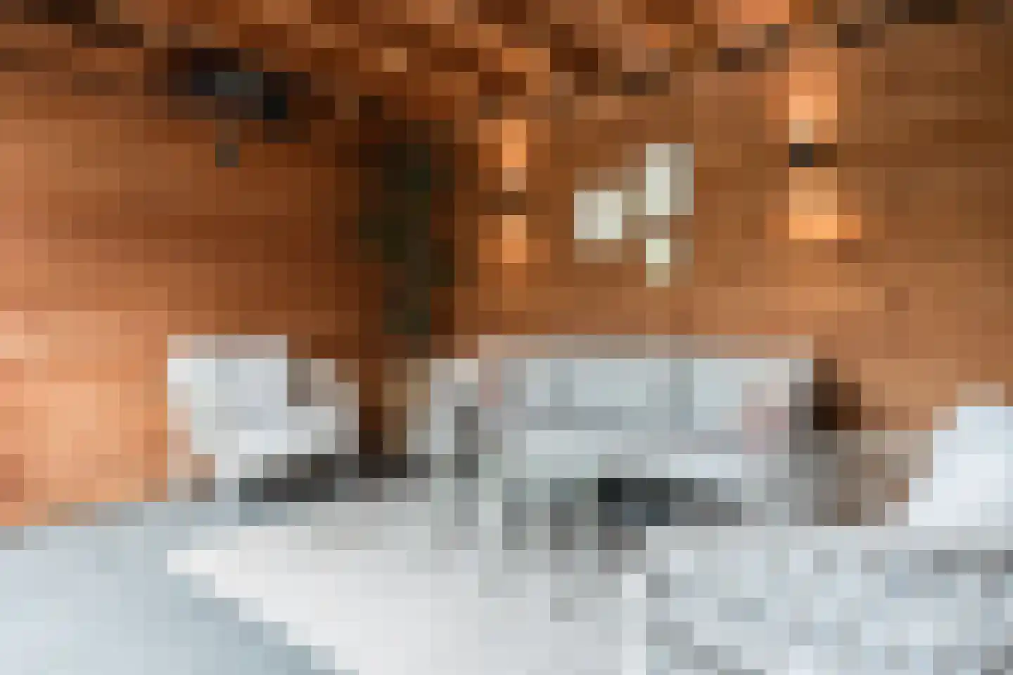 Achter de Kerk 16 Delden thumbnail 47